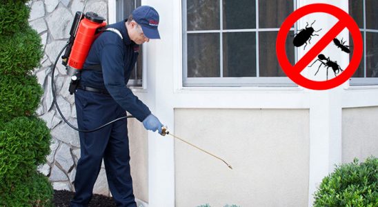 Ereğli Fare İlaçlama böcek ilaçlama ve haşere kontrolü — ilaclama-tr.com